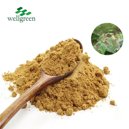 Epimedium Extract Powder